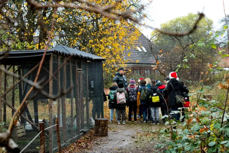Gårdspladsen og vild natur på BaneGaarden – billede 17
