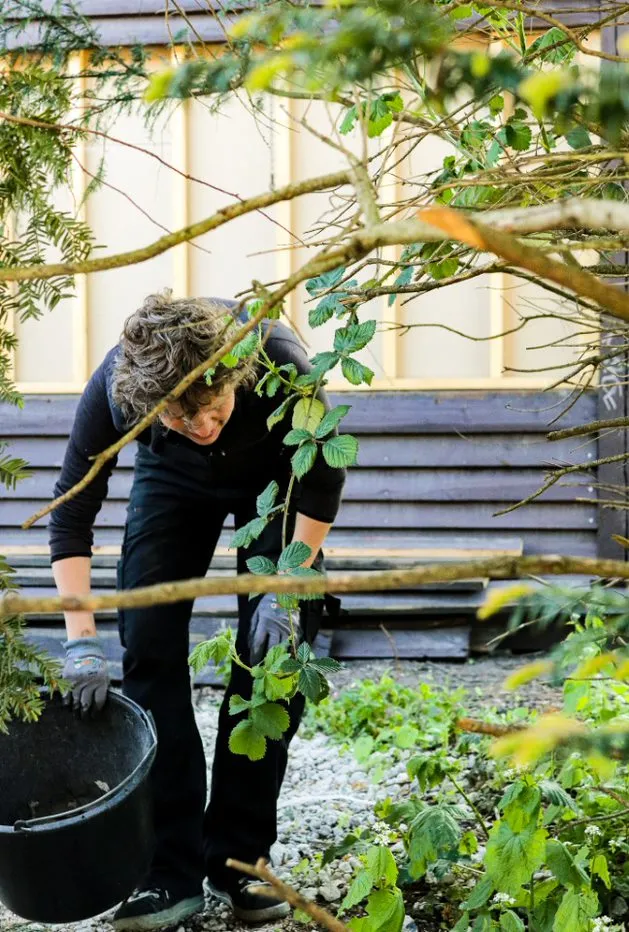 Gårdspladsen og vild natur på BaneGaarden – billede 12