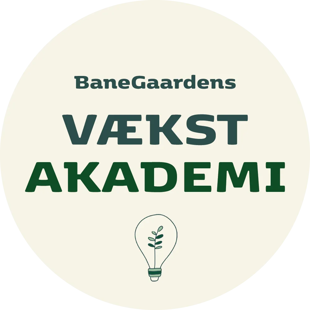VækstAkademiets logo