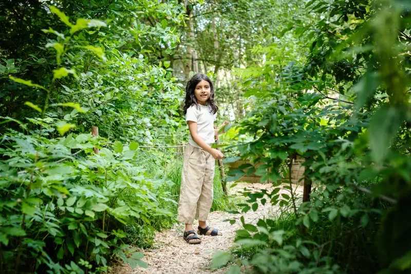 Gårdspladsen og vild natur på BaneGaarden – billede 13