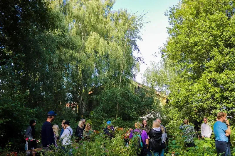 Gårdspladsen og vild natur på BaneGaarden – billede 6