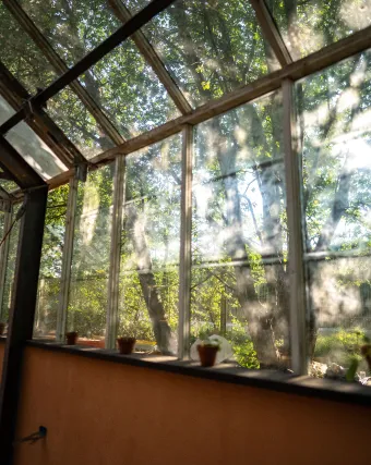 Gårdspladsen og vild natur på BaneGaarden – billede 5