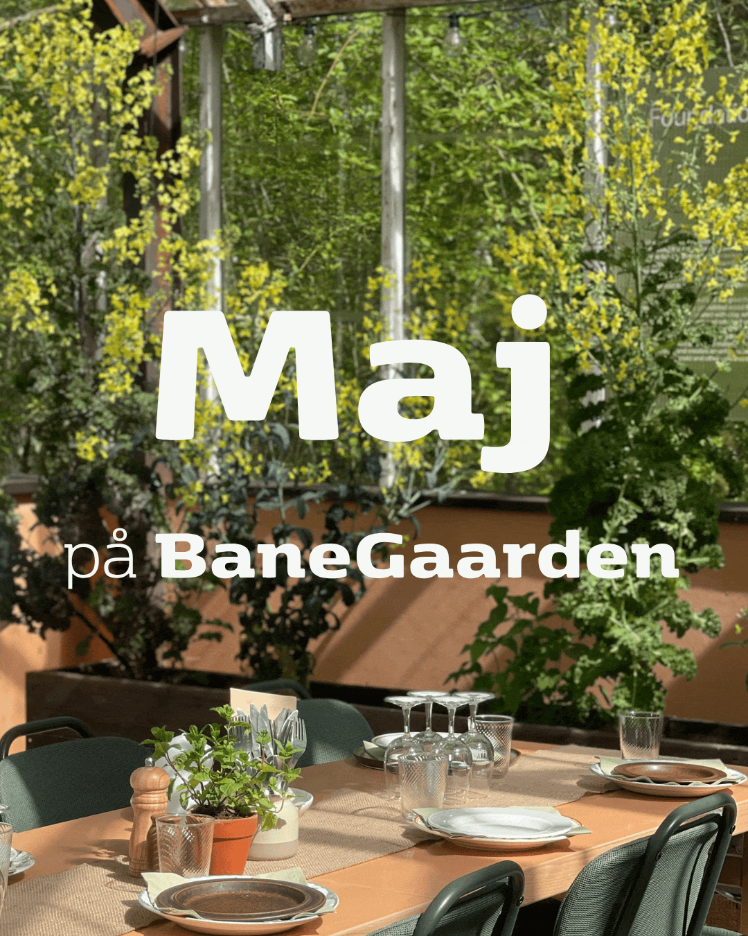 Alt det du skal opleve i maj i byens grønne oase
