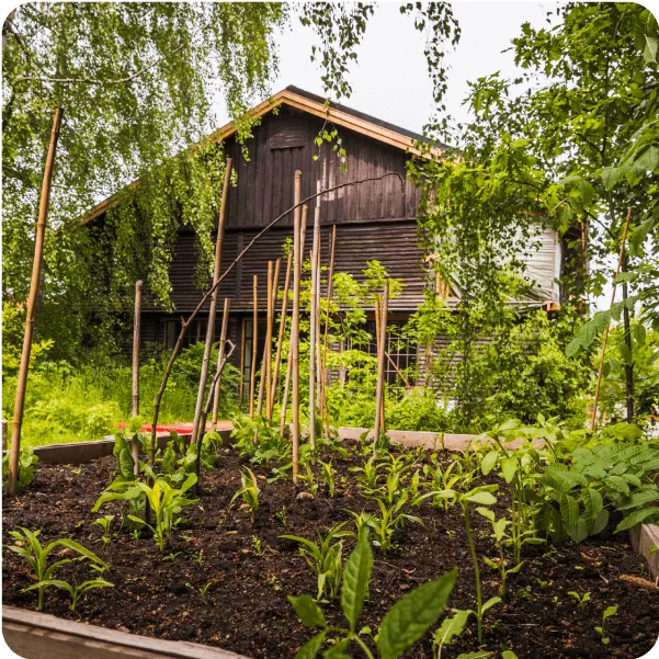 Gårdspladsen og vild natur på BaneGaarden – billede 10