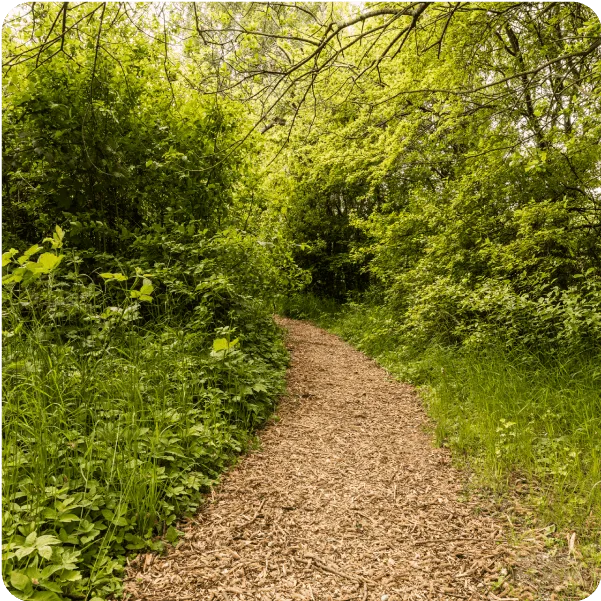 Gårdspladsen og vild natur på BaneGaarden – billede 9