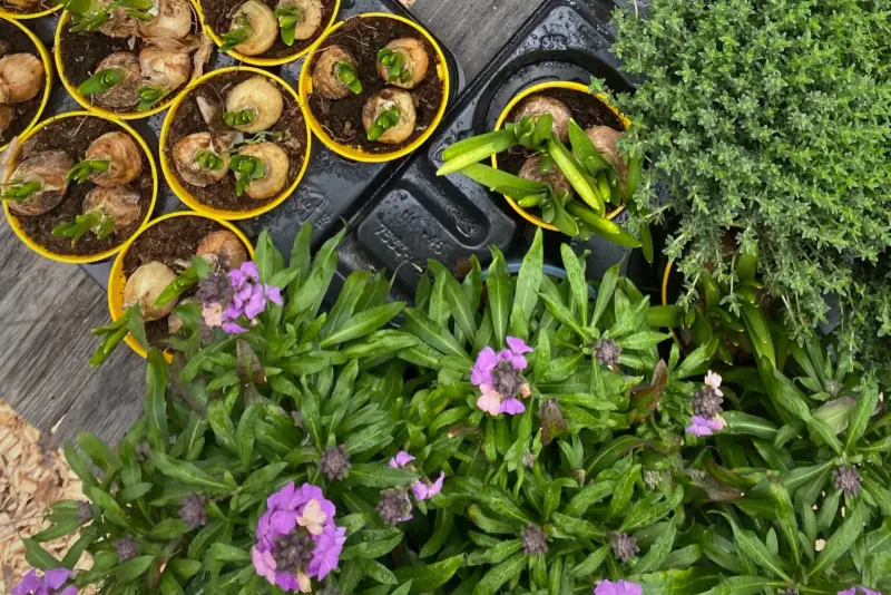 Påske på BaneGaarden 🌱🐣
