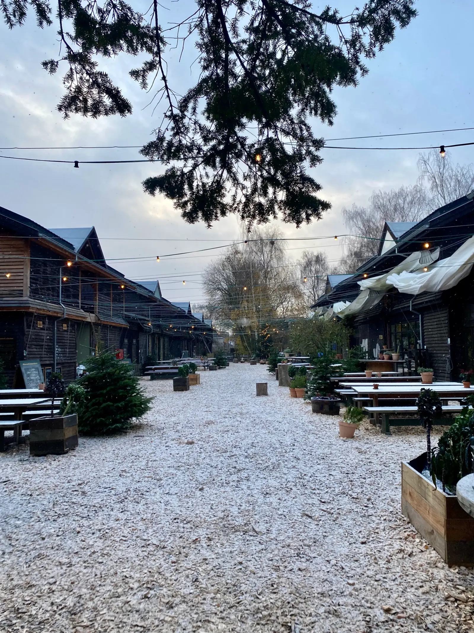 Julefrokost